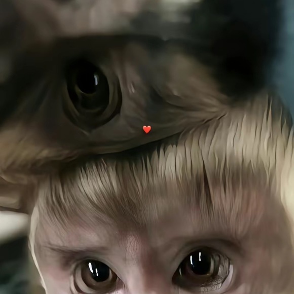 Meet your Posher, Fernando - Picture 1 of 1